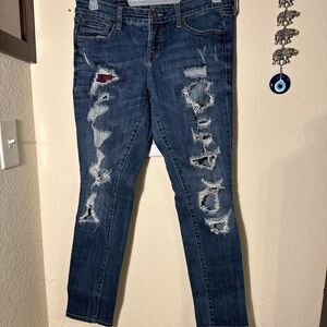 Torrid Jeans